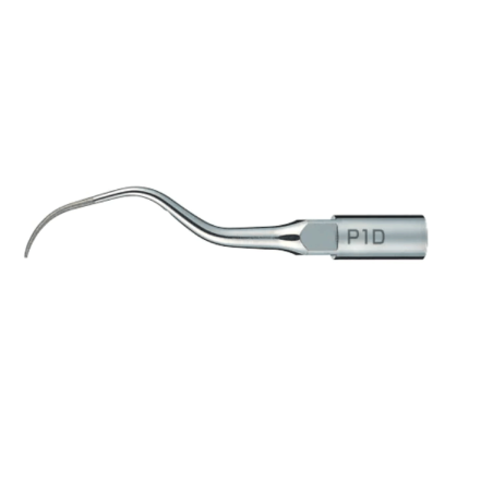 INSERT P1D PERIO