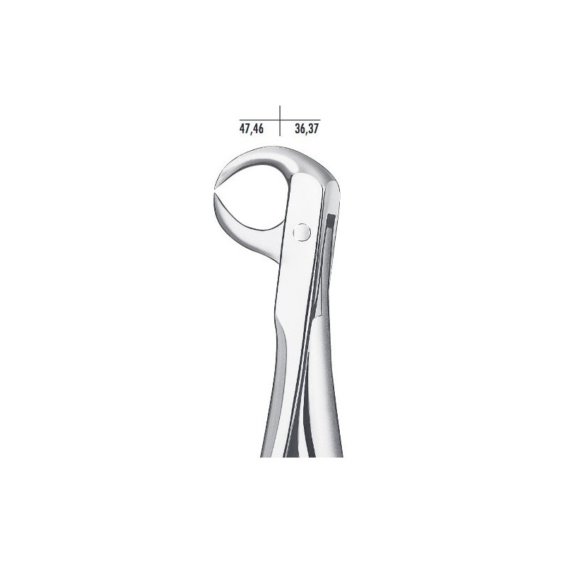 FORCEPS BEC DE PERROQUET 86C CARL MARTIN