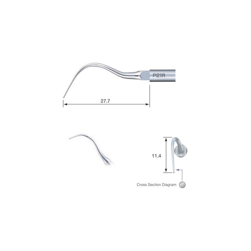 INSERT ULTRASONS PERIO P21R