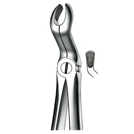 E67A FORCEPS N.67A CORDAL SUPERIEURE