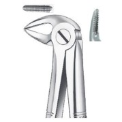 FORCEPS RACINES INFERIEURES 33A CARL MARTIN