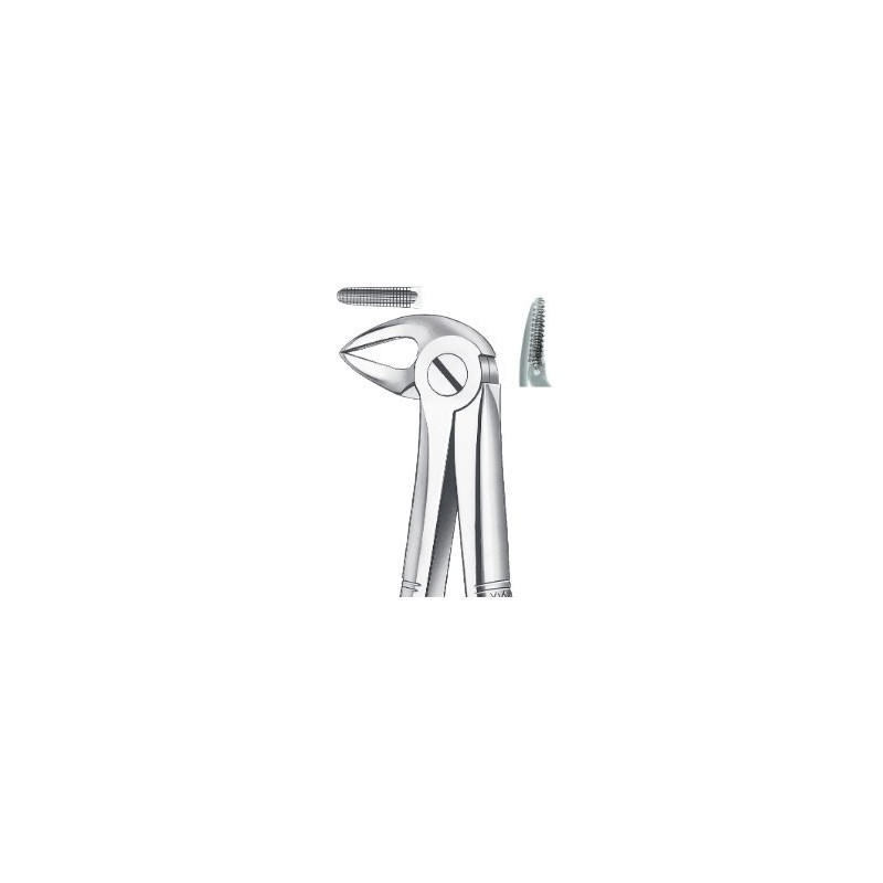 FORCEPS RACINES INFERIEURES 33A CARL MARTIN