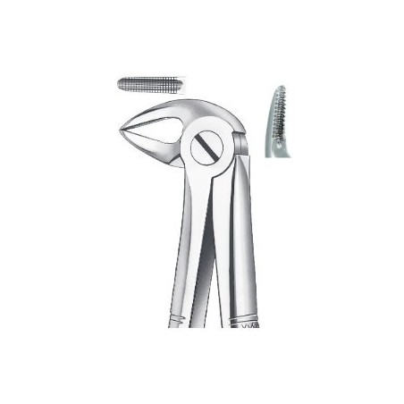 FORCEPS RACINES INFERIEURES 33A CARL MARTIN