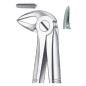 FORCEPS RACINES INFERIEURES 33A CARL MARTIN