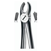 FORCEPS EXTRACTION 17 CARL MARTIN