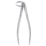FORCEPS RACINES INFERIEURES