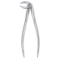 FORCEPS RACINES INFERIEURES