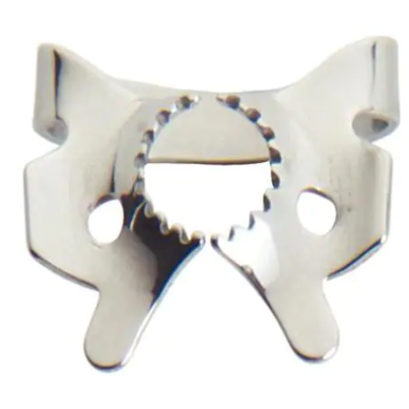 CLAMP TIGER MOLAIRE IVORY