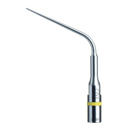 INSERT ENDODONTIE SO4