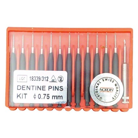 TITANIUM DENTINE RETENTION PINS 0.75mm KIT