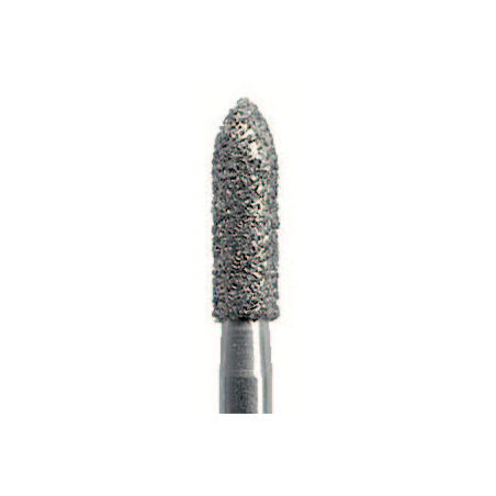 FRAISE TORPILLE G877.314.012 FG 5 Unites