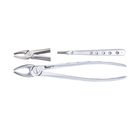 FORCEPS Nº1 SUPERIEURE INCISIVES ET CANINES