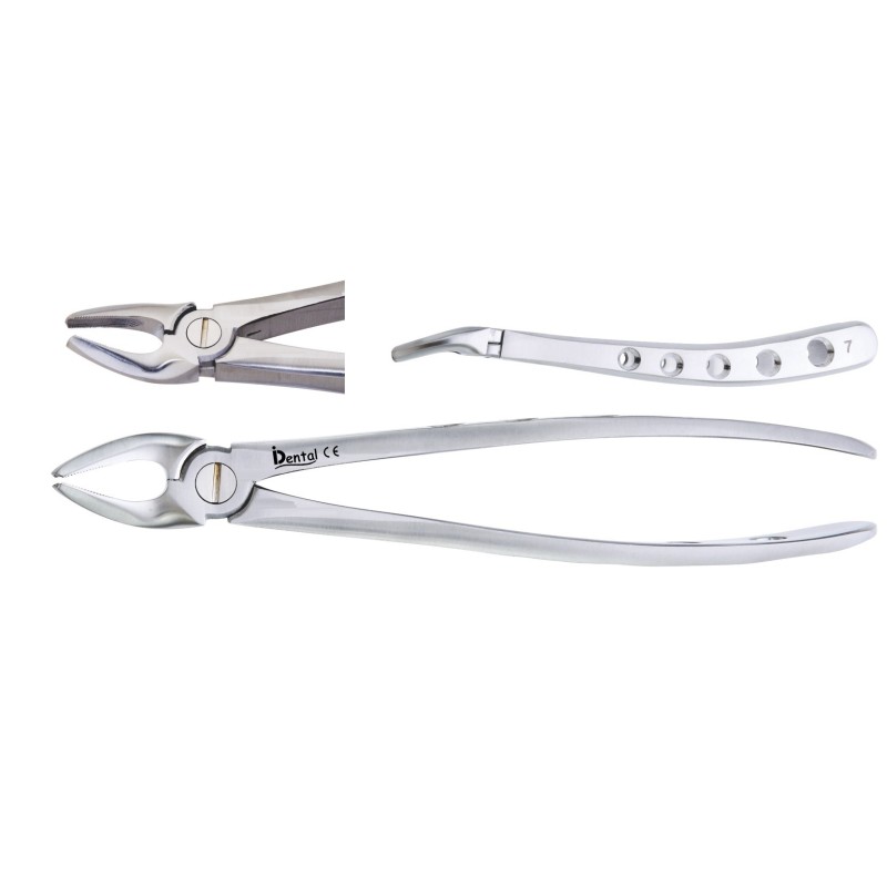 FORCEPS Nº7 SUPERIEURE PREMOLAIRE