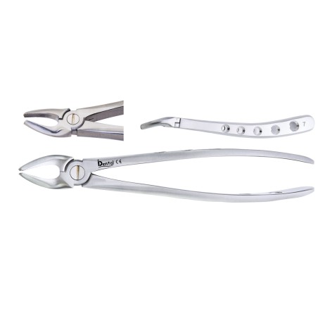 FORCEPS Nº7 SUPERIEURE PREMOLAIRE