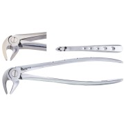FORCEPS Nº13 INFERIEURE PREMOLAIRE