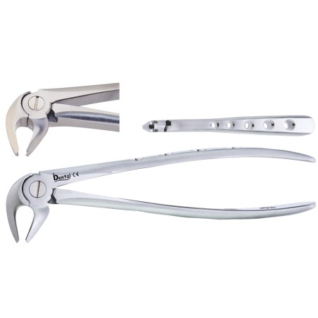 FORCEPS Nº13 INFERIEURE PREMOLAIRE