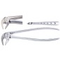 FORCEPS Nº13 INFERIEURE PREMOLAIRE