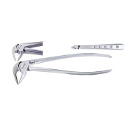 FORCEPS Nº33 RACINES INFERIEURES