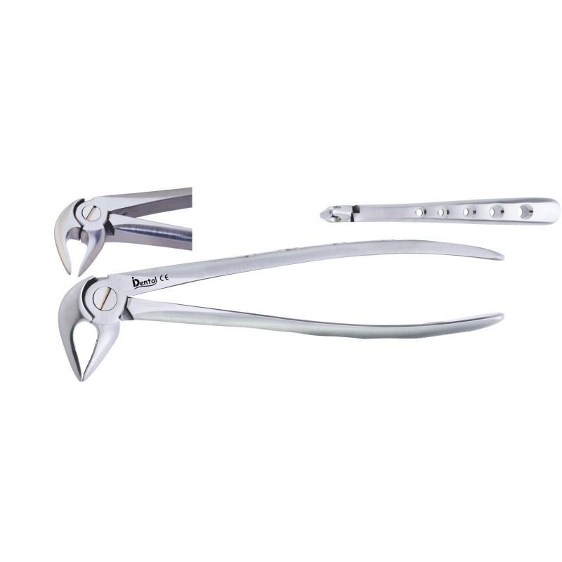 FORCEPS Nº33 RACINES INFERIEURES