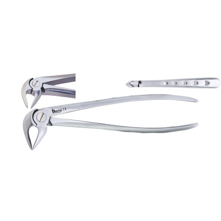 FORCEPS Nº33 RACINES INFERIEURES