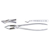 FORCEPS Nº 51A RACINES SUPERIEURES
