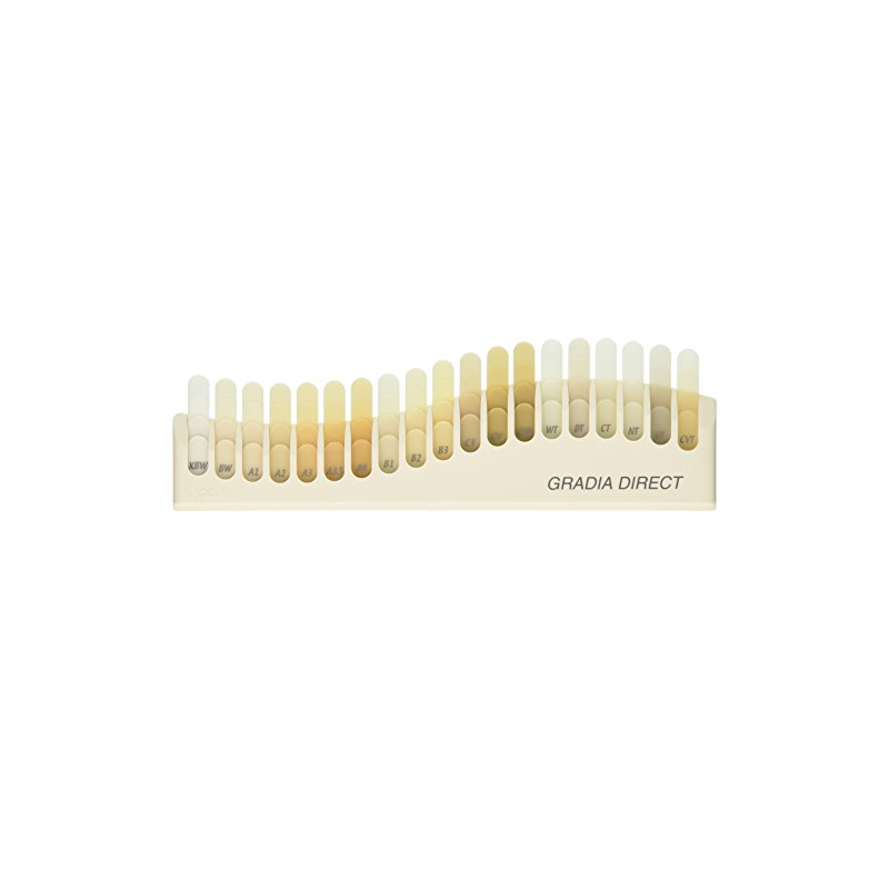 GRADIA DIRECT GUIDE COULEUR