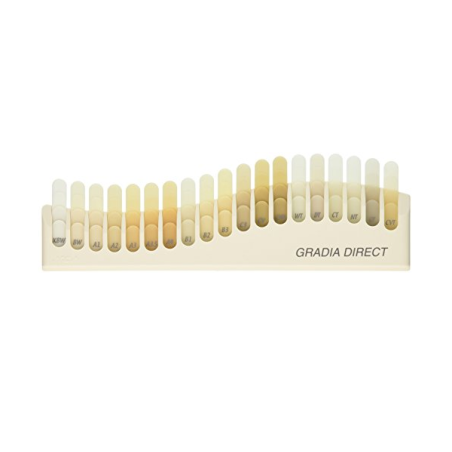 GRADIA DIRECT GUIDE COULEUR