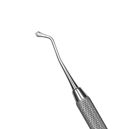 BRUNISSOIR BELLOTA Nº21