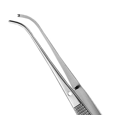 PINCE SEMKIN-TAYKIR COURBE 12,5 cm