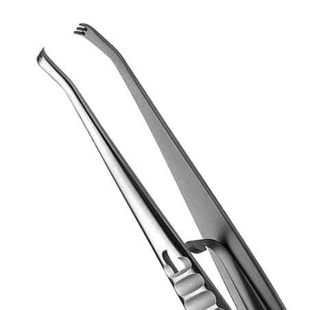 PINCE FOX CHIRURGIE 15 mm