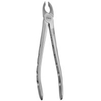 FORCEPS ATRAUMÁTICO CANINE PREMOLAIRE SUPERIEURE Nº35