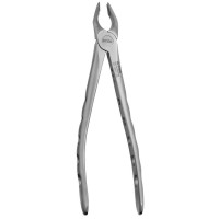 FORCEPS ATRAUMÁTICO APICAL CANINE SUPERIEURE ET PREMOLAIRES Nº35
