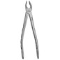 FORCEPS ATRAUMÁTICO APICAL CANINE SUPERIEURE ET PREMOLAIRES Nº35