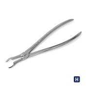 FORCEPS DE EXTRACTION 67A