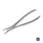 FORCEPS DE EXTRACTION 67A