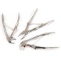 FORCEPS ENFANTS INCISIVES INFERIEURES