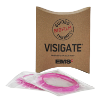 GBT VISIGATE RETRACTEURECARTEUR JOUES LEVRES 60 unites