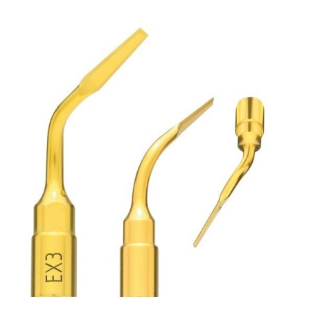 INSERT EXTRACTION EX3