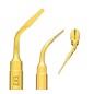 INSERT EXTRACTION EX3
