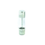 FUSIBLE WOODPECKER D3