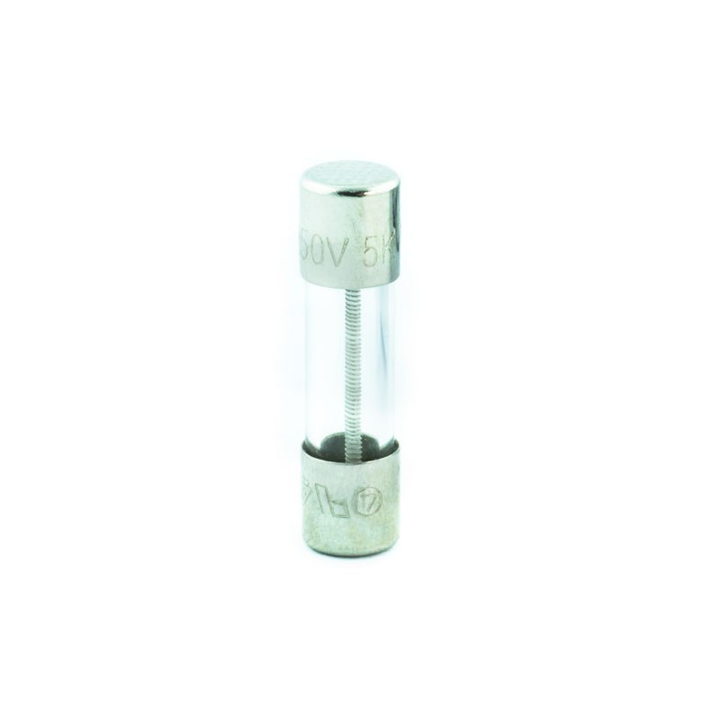 FUSIBLE WOODPECKER D3