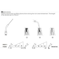 INSERT ENDO E5 POUR EMS