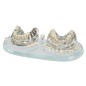 REPUESTOS MODELE ESTUDIO DEMOSTRACION IMPLANT CplusB