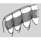 SUPER SPLINT DE LUXE 4 mm 50 cm
