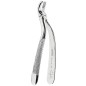 FORCEPS DE EXTRACTION FIG.19 TERCEROS MOLAIRES SUPERIEURES