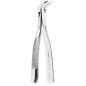 FORCEPS DE EXTRACTION ENFANTS FIG.5 TERCIO MOLAIRE INFERIEURE