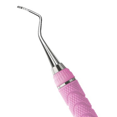 CURETTE BARNHART 5/6 ROSE M8