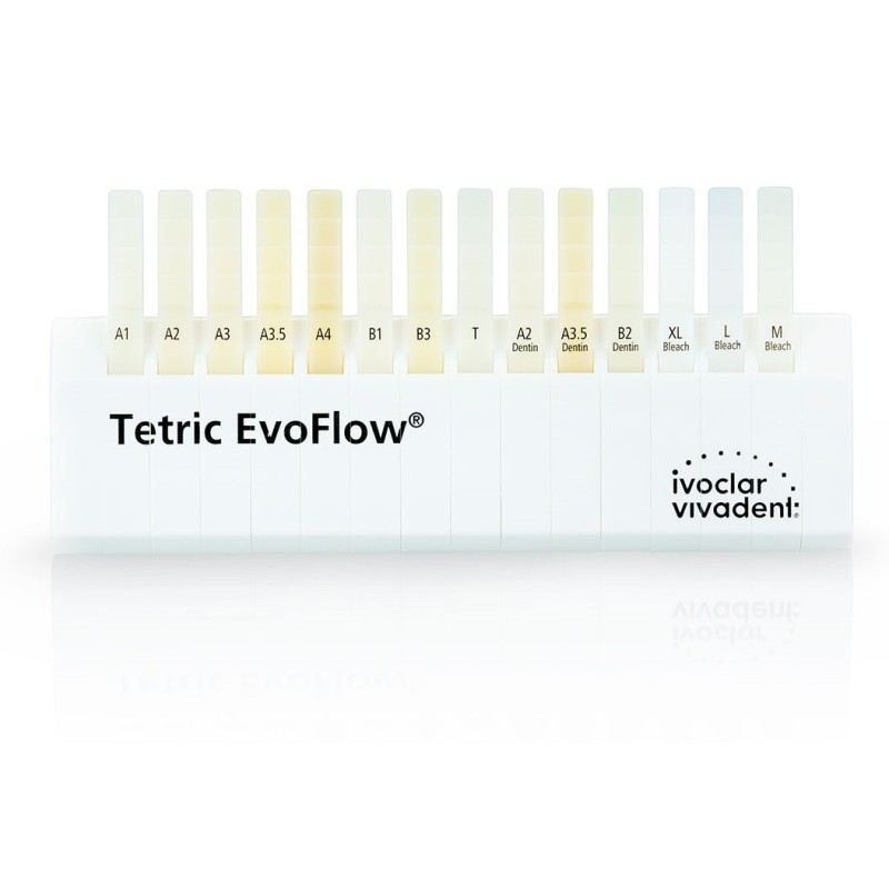 GUIDE COULEUR TETRIC EVOFLOW