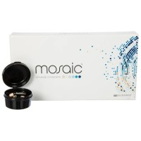 MOSAIC SINGLES INTRO KIT