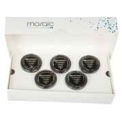 MOSAIC SINGLES INTRO KIT